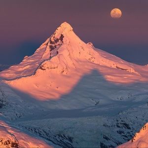 Meet your Posher, Madi